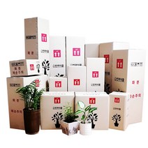 박스365 튼튼한 꽃 생화 화훼 나무 화분 화초 식물 택배박스 29종 모음, 10개입, 연갈색 박스 A638 10장 (300*300*1100)