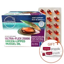 초고함량 라이프스팬 뉴질랜드 초록입홍합 25000mg 120캡슐 추출 오일 4개월분, 라이프스팬 초록홍합 25000mg 120캡슐 1통, 1개