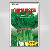 슬로시 슬로시 김장 채소 씨앗 무 배추 당근 씨 종자, 치마열무20g(아람)