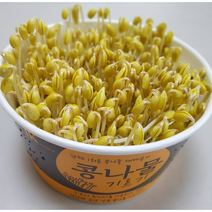 콩나물키우기세트(용기 국산콩나물콩 덮개), 2개입