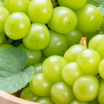 당도 함께 크기 소과 지역 랜덤 샤인머스켓 2kg 스윗 달콤맛있는