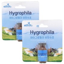 모스트펫 하이그로필라 씨앗수초 S, 2개