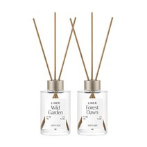 리베르 디퓨저 100ML, 포레스트 던, 1개