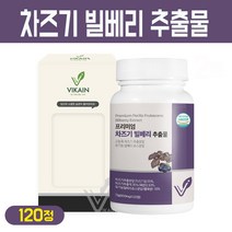 차즈기 빌베리 추출물 정 국내산 자소엽 고농축 차조기 추출 분말 보라색 깻잎 유기농 빌베리 쥬스 가루 타블렛 루테올린 베타카로틴 함유 캡슐 식약처 해썹 인증, 1개, 프리미엄 차즈기 빌베리 추출물 120정
