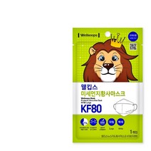 웰킵스 미세먼지황사마스크 KF80 4종 숨쉬기편한 국산마스크, 미세먼지황사마스크 KF80 대형(2