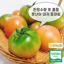 (파격특가) 대저 토마토 2.5kg 쥬스용 추천, 못난이 대저 토마토 2.5kg