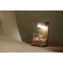 식물 무드등 여자친구선물 집들이선물 센스있는선물 인테리어무드등 특별한선물, 모스그린
