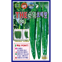 더순한오이맛 아삭이 고추씨앗 100립