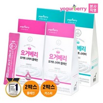휴럼 요거베리 플레인 요거트 스타터 2박스 + 카스피 2박스, 없음