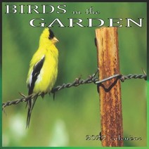 (영문도서) Birds in the Garden: Calendar 2022 Paperback, Independently Published, English, 9798514208500