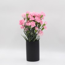 미니 카네이션 (스프레이) 모음 꽃정기구독 생화택배 (고속터미널꽃시장 직배송) 꽃예꽃, 화이트, 비슷한 느낌의 꽃으로 변경(다른꽃or다른색), 월요일 구매시 (수~목요일 도착)