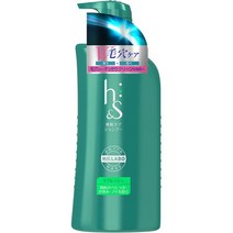 일본직발송 6. HAMP;S 에이치앤에스(HS) 샴푸 리프레시 펌프 520ML B01BER3LNU, 본체 520ML, One Color