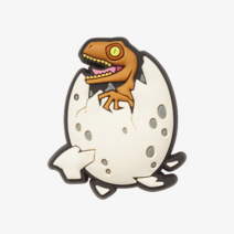 [크록스 키즈] [크록스][크록스] 쥬라기 디노 에그 (10008977), 색상:FREE / 사이즈:OS