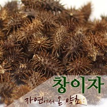 창이자 한국산 300g