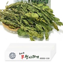 경남 창녕군 선물포장 바싹말린 자연건조 건시래기 무청 시래기 무우청 시래기, 300g