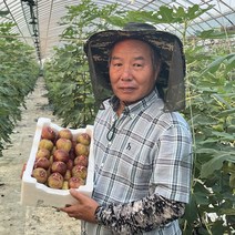 [육교농장]무농약 고당도 영암 무화과 / 당일수확 산지직송 홍무화과 청무화과 재래토종무화과, 재래토종무화과2팩(1.5kg), 2개