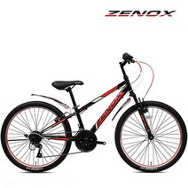 K2BIKE 2023 제녹스 덱스트SF 24인치 주니어 초등학생 MTB 자전거 완조립, 덱스트2.1SF 24인치 민트_조립+사은품D/번호키