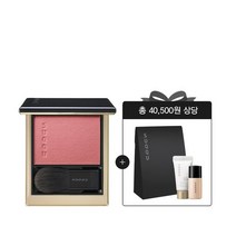 단독세트 멜팅 파우더 블러쉬 스무드 커버 프라이머 10ml+프로텍팅 데이크림 6g, 05 온화한 하늘