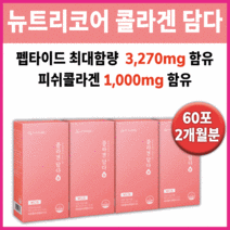 뉴트리코어 콜라겐 담다 올리브영 맛있는 기능성 연예인 영양제 추천 에좋은 푸석푸석한 푸석한 피부 건조한 먹는 콜라갠 홈쇼핑 좋은 추천 유명한 효과 고급 엘라스틴 얼굴 주름, 4박스60포 (2개월분) *추천할인(-30000원)*