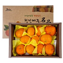 [식품의즐거움] 산지직송 제주 레드향 선물세트 5kg(10~24과 내외) 중대과, 단품