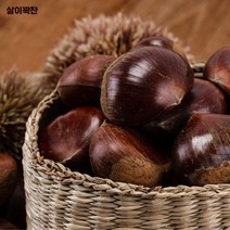 살이 꽉 찬 맛있는 알밤, 알밤 3kg 특