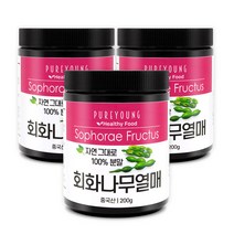 퓨어영 회화나무열매분말 200g, 3통