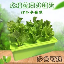 베란다 텃밭 수경재배기 . 무토 재배 야채 장비 홈 발코니 수경 야채 재배자 자동 수경, Green Solar Oxygenation 수경재, 시멘트, 중간