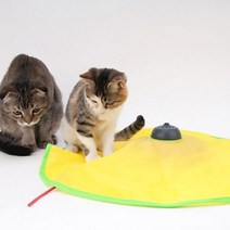 사냥놀이 자동회전 쥐꼬리 장난감 펫피트니스봇 펫시터 분리불안