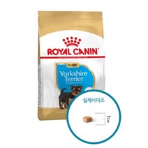 요크셔 퍼피 1.5kg 강아지 피모 주식 밥 1P 건사료, 오디오디 본상품선택, 상세 참조