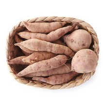 [산지직송] 안면도 황토 꿀 호박고구마 (한입)3kg/5kg/10kg, 5kg