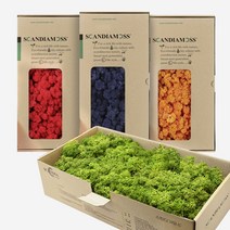 스칸디아모스 500g 천연 이끼 공기정화 이끼식물 DIY 세트, 시클라멘_자연500g, 1개