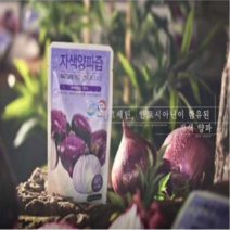 자색양파즙 효능 좋은 적양파즙, 100ml, 60포, 100ml