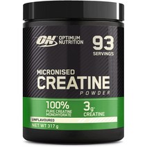 Optimum Nutrition Micronised Creatine 옵티먼 뉴트리션 마이크로나이즈드 크레아틴 317g