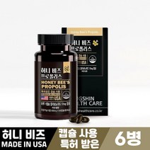 허니 비즈 프로폴리스 bee propolis 60캡슐 특허 캡슐 먹는방법, 6병, 허니 비즈 프로폴리스 600mg x 60캡슐