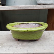 제이팟다육 dm 6색 미니타원 수제화분 다육이화분 107, 연두