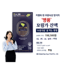 명품 모링가 진액