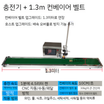 자동 액상 액체 정량 충진기 소분기 주입기 고점도 저점도, E 4.5L 충전 기계 + 1.3m 벨트
