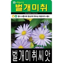 [워터트리몰] 벌개미취 씨앗(5000립) 채소 꽃 종자 재배 씨앗 허브 나무 (A)