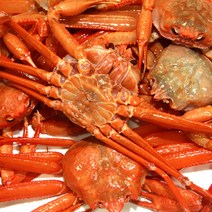 영덕 강구항 영덕박달홍게 마리당 400g내외 수율 80~90%, 1박스, 박달홍게 3마리 (마리당 400g내외 수율80~90%)