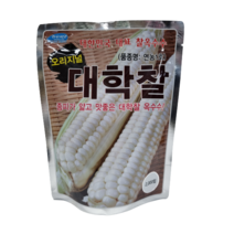 대학찰 옥수수씨앗 2000립 오리지널 찰옥수수 대포장 연농1호, 1개