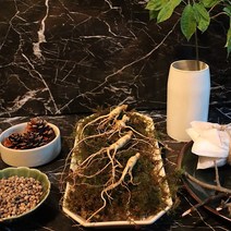 도담산삼 9-10년근 7뿌리 산양삼 산양산삼 장뇌삼 산삼, 9-10년근 7뿌리 정품, 10000