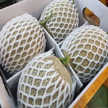 달달과수원 달콤한 고당도 머스크메론, 4수