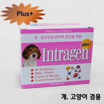 [RA㏓] 인트라젠 플러스(plus+) 스틱 (2gx30p) 애견장건강 용유산균 개영양제 완용 영양제 치와와 고양이 강아지종합 소형 ▷_§Ea, 옵션없음<%@#>, 《본상품》, 《본상품》” class=”wr-img”></a></div>
</div>
</div>
</div>
<div class=