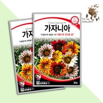 가자니아 30립 세계종묘 화훼류 씨앗, 1개