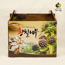 엄마애손 국내산 황칠나무즙 1박스 (100mlx60p) / 황칠나무추출액 100％