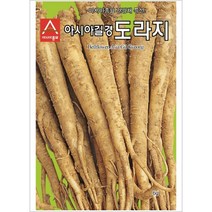 아시아 길경 도라지 씨앗 100g 건강채 한약재 종자 반찬용 텃밭 재배 농사 약도라지 사포닌 토종 약초 산나물