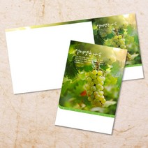 교회주보 예배 주보용지 3단6면 주보지 안내지 전도지 절기 부활절 추수감사 맥추감사 성탄절 신년감사 디자인 기독교용품, EW-46