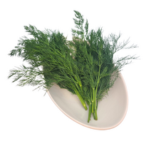 야채24닷컴 딜 허브 생잎 100g, 1개