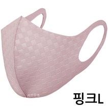 효성 아스킨 마스크 겨울 항균 방한 방풍 자외선차단 다회용 프로가드301 핑크L, 1개