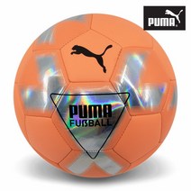 푸마 케이지 축구공 5호 08369702